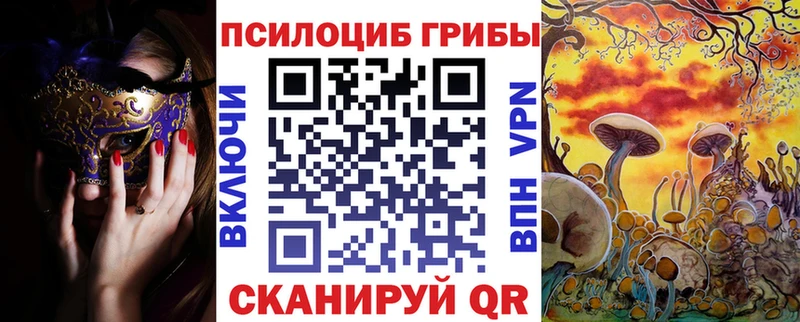 Галлюциногенные грибы Psilocybe  как найти наркотики  Долгопрудный 