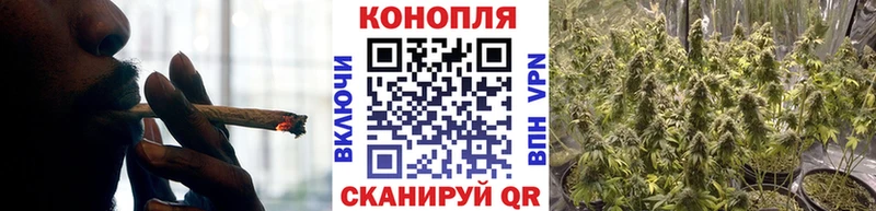 где продают   Долгопрудный  Конопля гибрид 